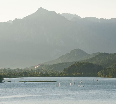 Das Bild zeigt den Weißensee, eingebettet in eine bergige Landschaft. Der See ist von einem tiefen Blau und zeigt mehrere Windsurfer, deren weiße Segel das Licht einfangen. Die Surfer sind über das Wasser verstreut, manche näher am Vordergrund, während andere weiter entfernt sind. Die Berge erheben sich majestätisch im Hintergrund, wobei ihre Gipfel den Himmel berühren. Der Himmel selbst ist hell und blau.