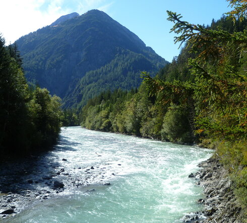 Das Bild zeigt einen wilden Fluss, an dessen Ufer unzählige Bäume wachsen. Im Hintergrund erhebt sich ein bewaldeter Berg. Der Himmel ist blau. Die Sonne scheint.