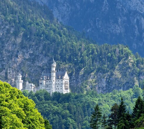 Das Bild zeigt eine Frühlingsszene. Auf einer verschneiten, bewaldeten Anhöhe steht das weiße Schloss Neuschwanstein. Hinter dem Schloss erhebt sich teilweise bewaldeter Berg. Zwischen den Bäumen ist auch immer wieder der rohe Fels zu sehen. Die Sonne scheint. Der Himmel ist wolkenverhangen.