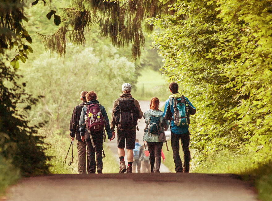 Ein Gruppe von Wanderern erkundet die Natur in der Nähe von Füssen. Die Füssen Region bietet zahlreiche Wanderwege für jeden Geschmack.