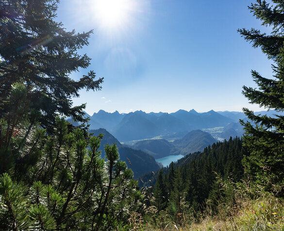 Zum Anderszeit-Blogbeitrag Das Bild zeigt die Aussicht auf die Alpengipfel über dem Alpsee bei Füssen im Allgäu