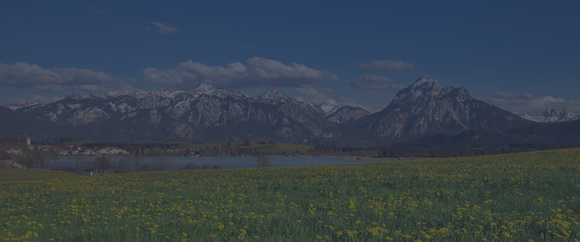 Hintegrundbild: Löwenzahnwiese mit Uferpromenade, Hopfensee, Ammergauer Alpen und Tannheimer Alpen