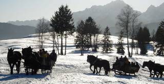 Romantische Pferdeschlittenfahrt im Allgäuer Winter