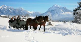 Pferdeschlittenfahrten durch den Allgäuer Winterlandschaft sind ein einmaliges Erlebnis.