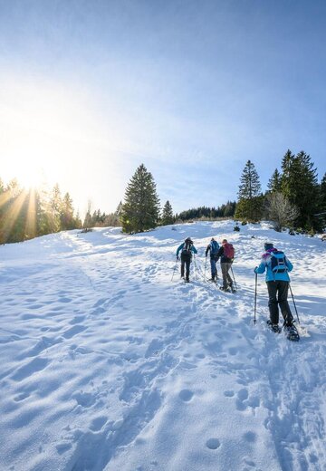 Veranstaltungsbild: Geführte Schneeschuhwanderung