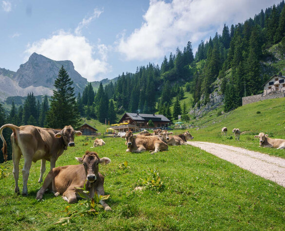 Blog Vorschaubild - Füssener Hütte