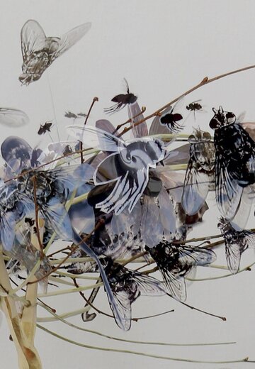 Veranstaltungsbild: Kurzführungen in der Ausstellung "Anna Pfanzelt. Fliegenkrone"