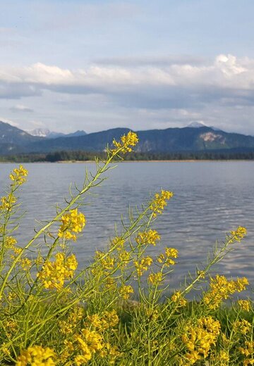 Veranstaltungsbild: Kräuterwanderung am Hopfensee